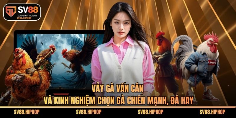 Vảy Gà Vấn Cán